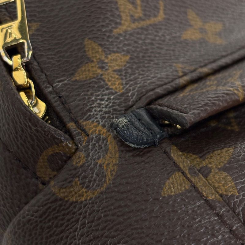 Louis Vuitton Palm Spring Backpack Mini Monogram Brown Black