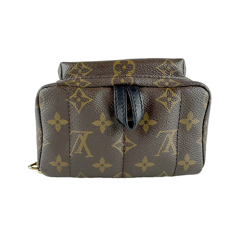 Louis Vuitton Backpack Palm Spring Mini
