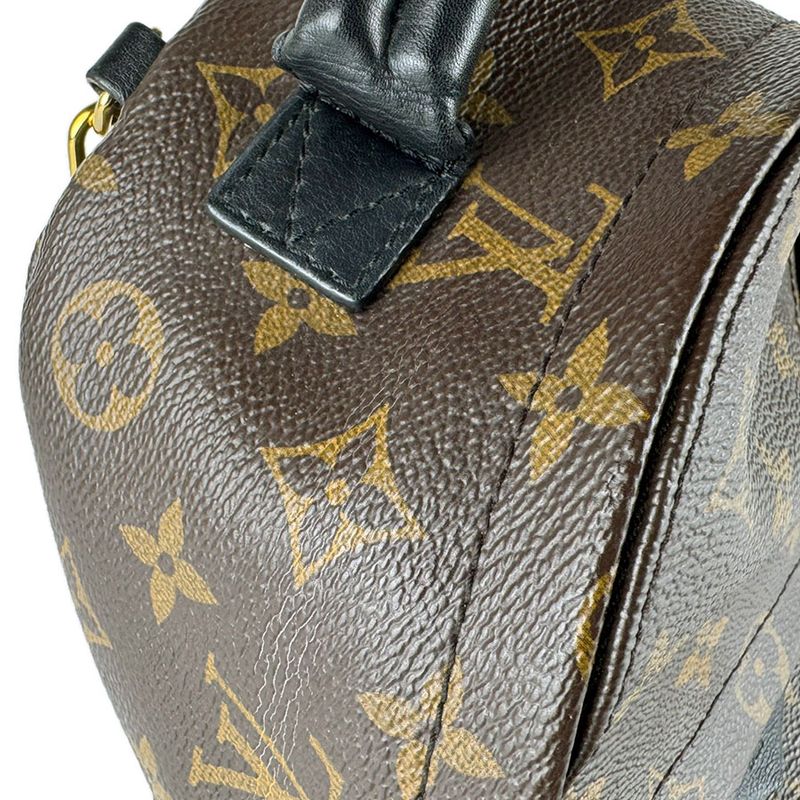 Louis Vuitton Backpack Palm Spring Mini