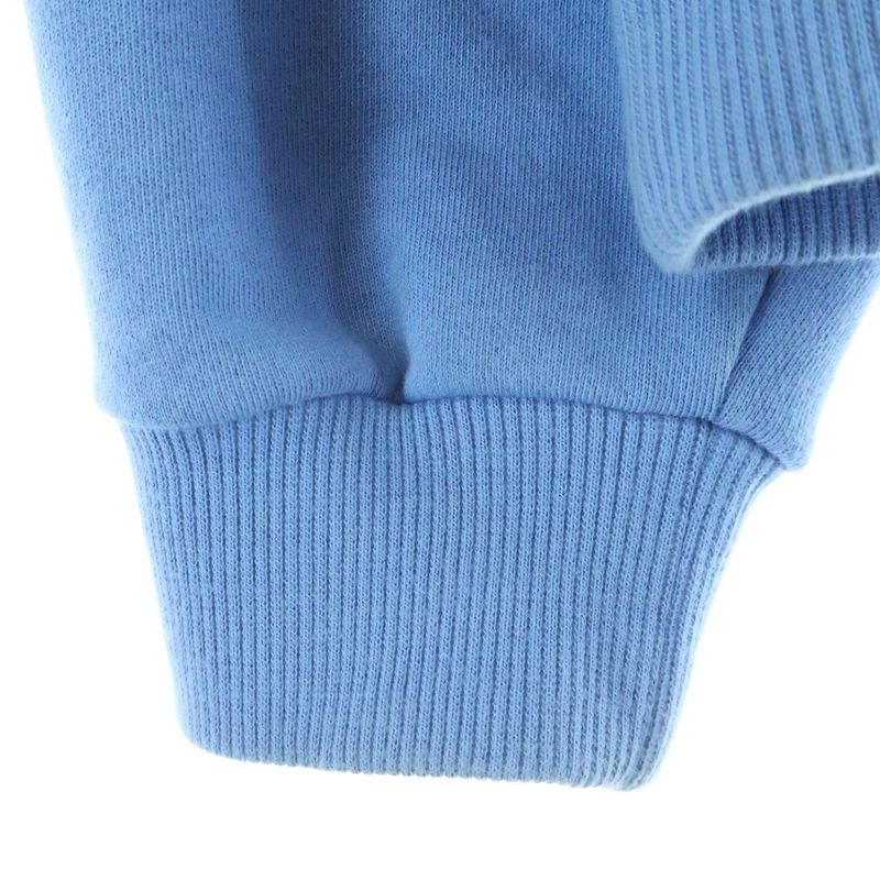 Celine Loose Hoodie Cotton Fleece Sweatshirt Pullover Blue