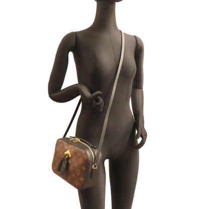 Louis Vuitton Shoulder Bag