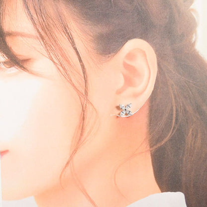 Tiffany & Co Earrings Victoria