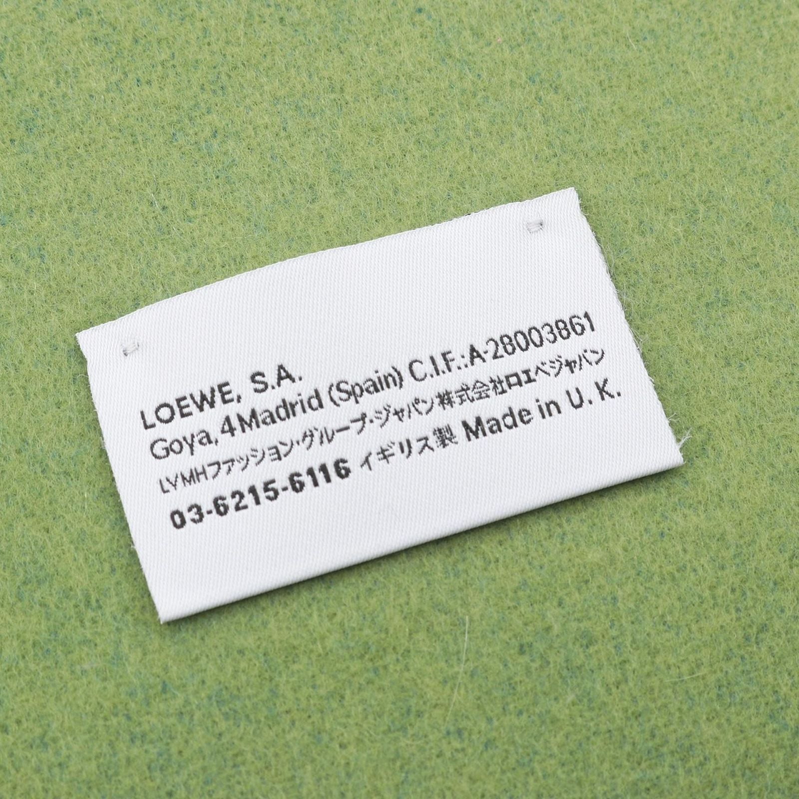 Loewe Scarf Anagram Bicolor Green Wool