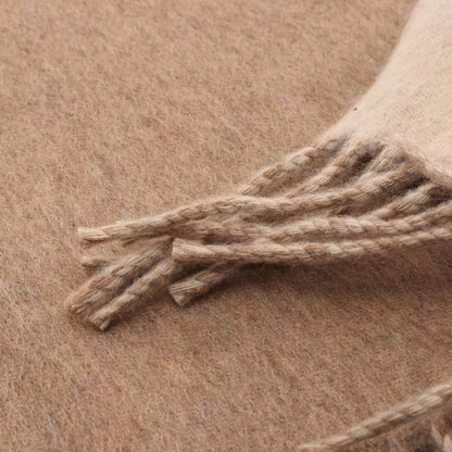 Hermes Scarf Recto Verso Beige