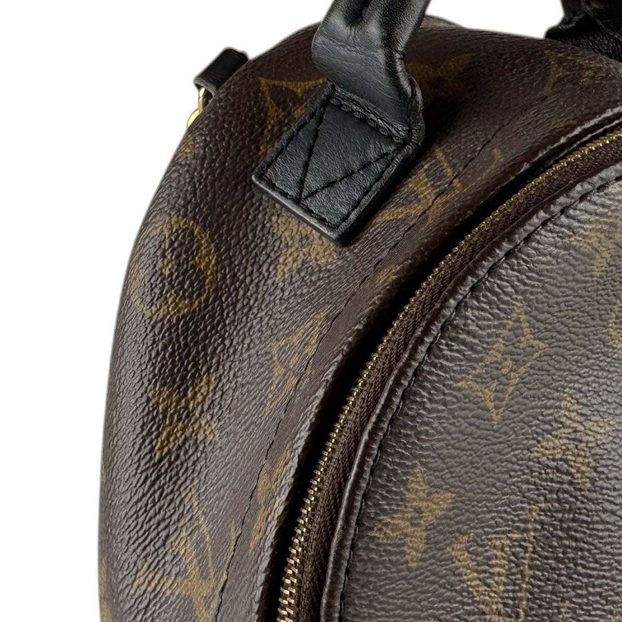Louis Vuitton Backpack Palm Spring Mini