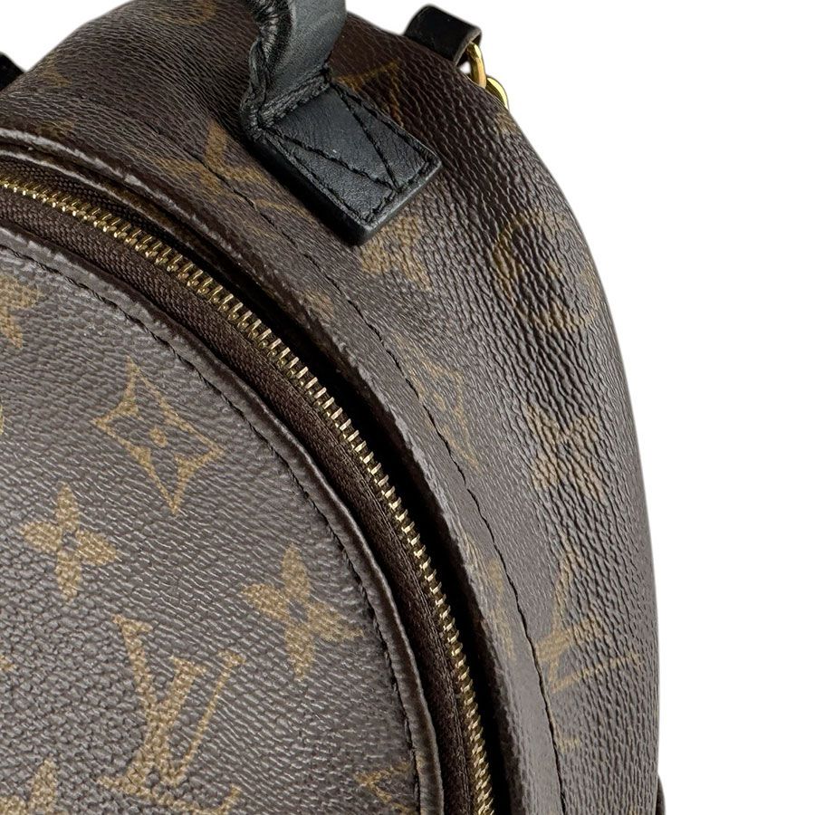 Louis Vuitton Backpack Palm Spring Mini