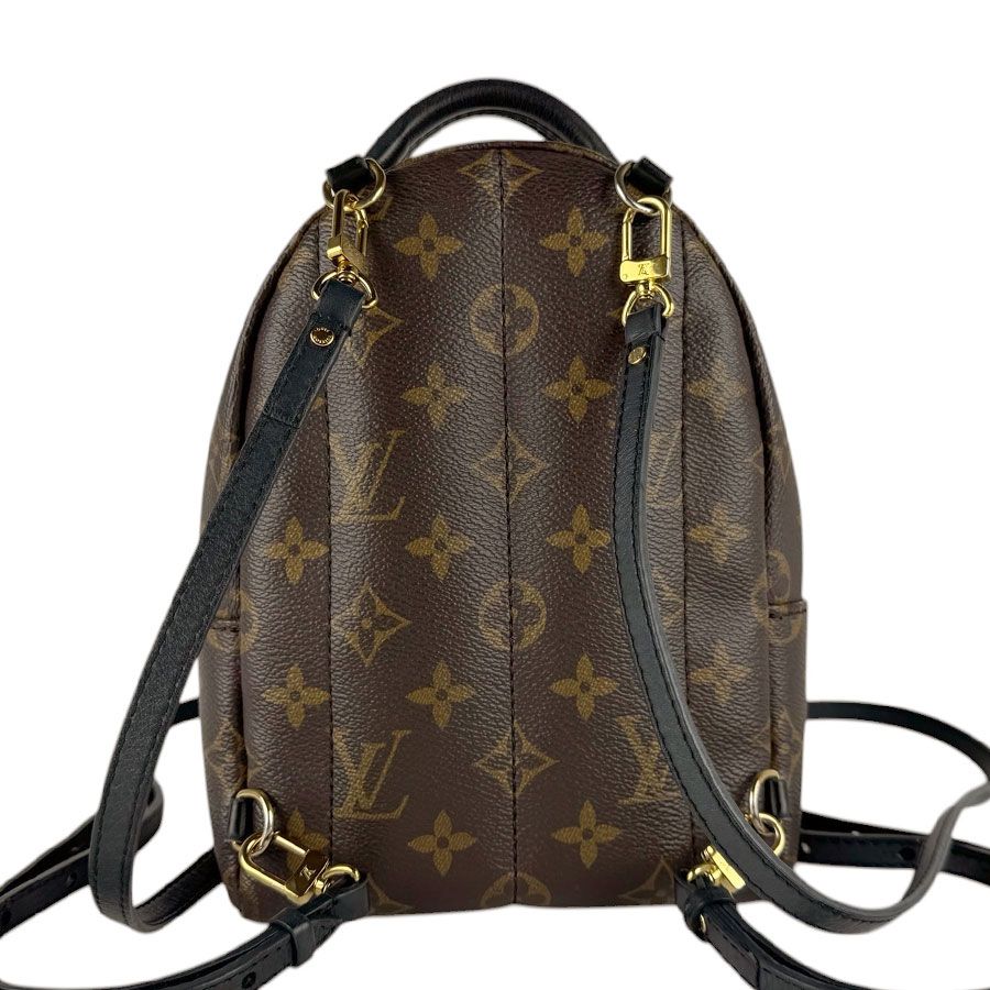 Louis Vuitton Backpack Palm Spring Mini