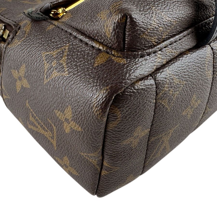 Louis Vuitton Backpack Palm Spring Mini