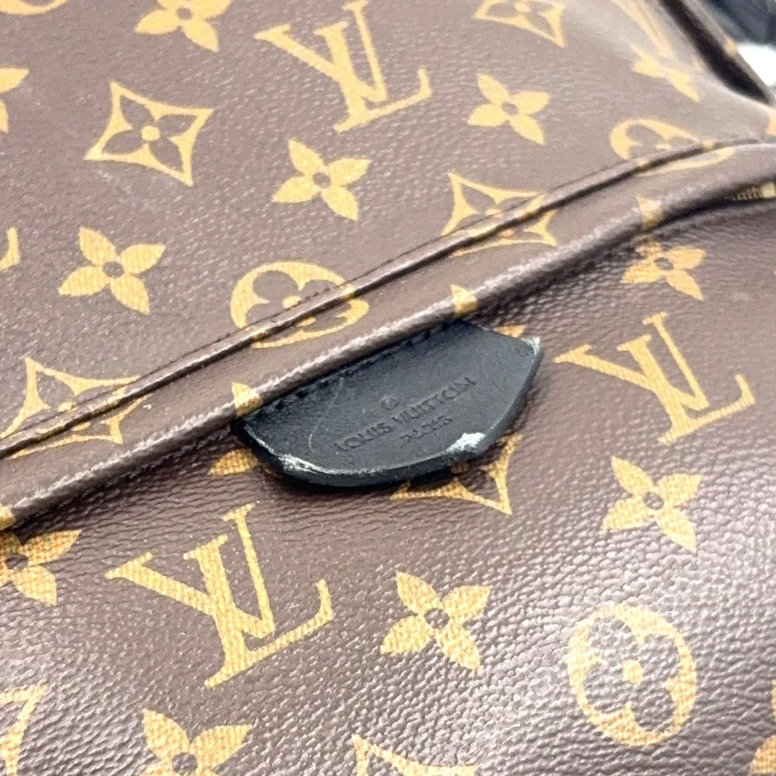 Louis Vuitton Palm Springs Backpack MM Monogram Leather Brown Gold — view 6