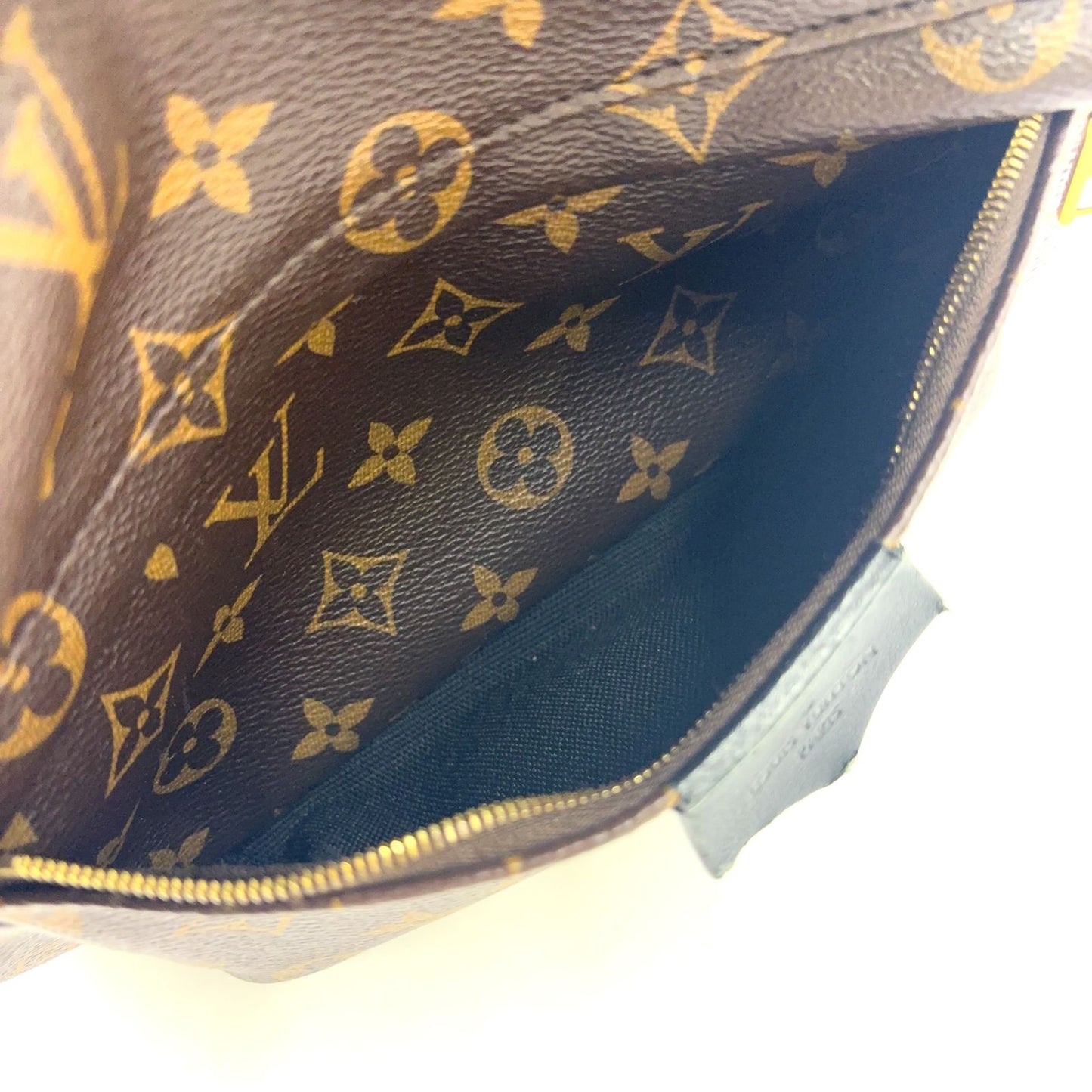 Louis Vuitton Palm Springs Backpack MM Monogram Leather Brown Gold — view 9
