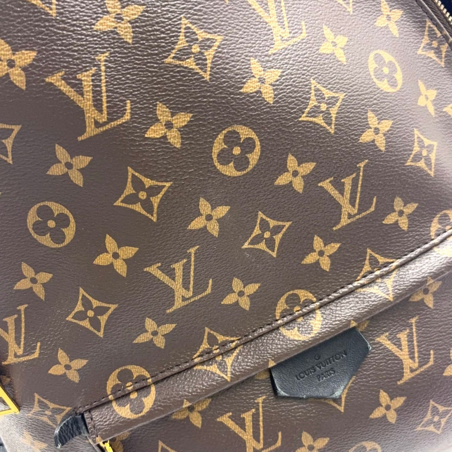 Louis Vuitton Palm Springs Backpack MM Monogram Leather Brown Gold — view 5