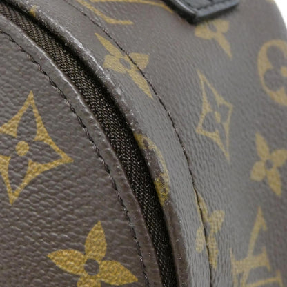 Louis Vuitton Monogram Palm Spring Backpack Mini Sac — view 5