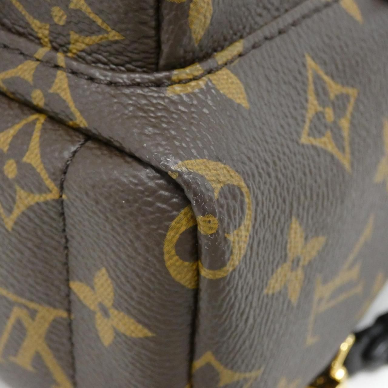 Louis Vuitton Monogram Palm Spring Backpack Mini Sac — view 3