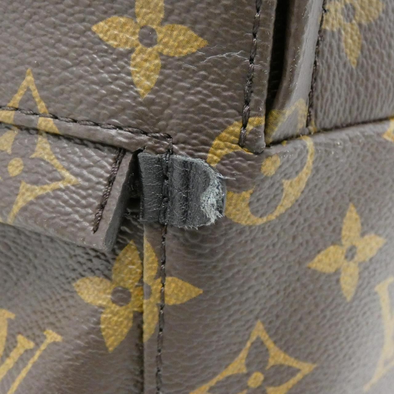 Louis Vuitton Monogram Palm Spring Backpack Mini Sac — view 4