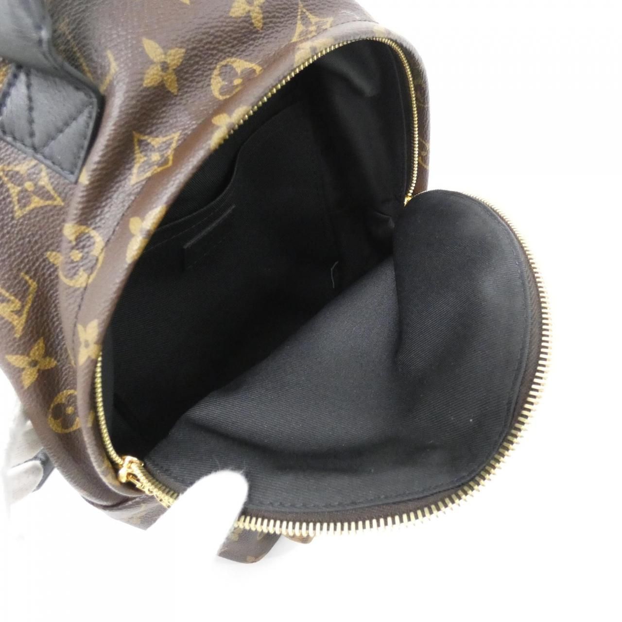 Louis Vuitton Monogram Reverse Palm Spring Backpack PM — view 8