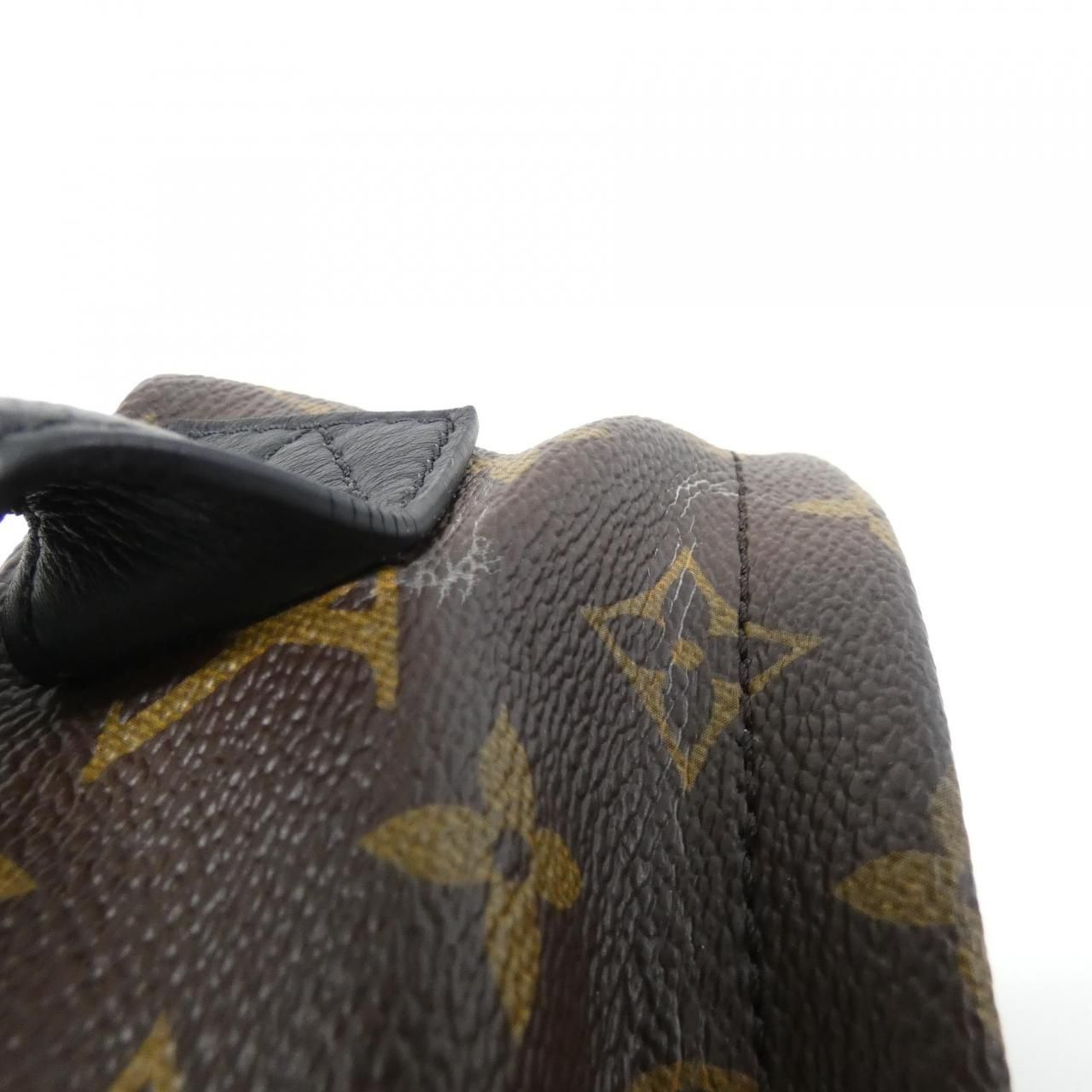 Louis Vuitton Monogram Reverse Palm Spring Backpack PM — view 4