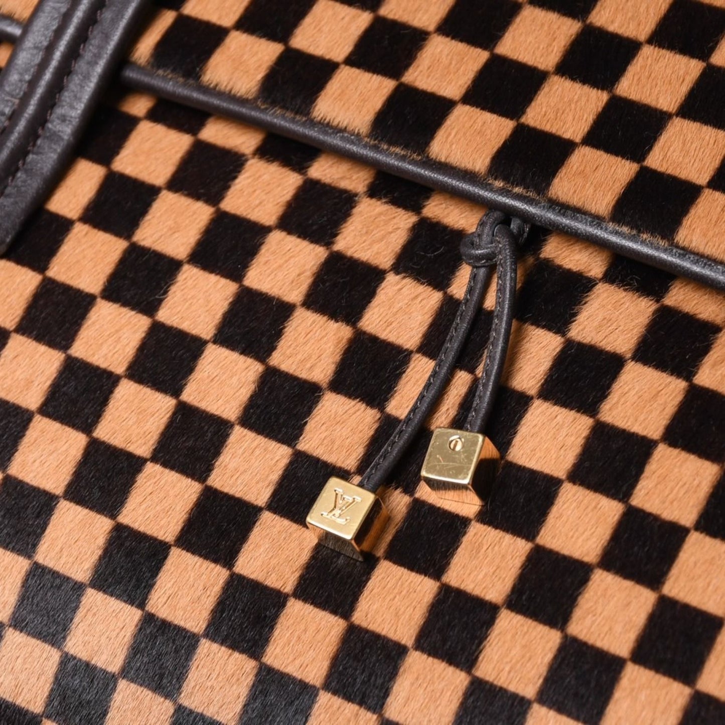 Louis Vuitton Lion Handbag Brown Leather Damier Sauvage Gold — view 6