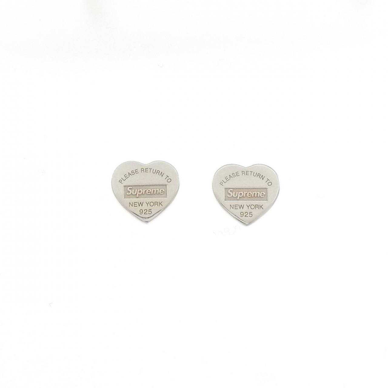 Tiffany & Co Tag Earrings