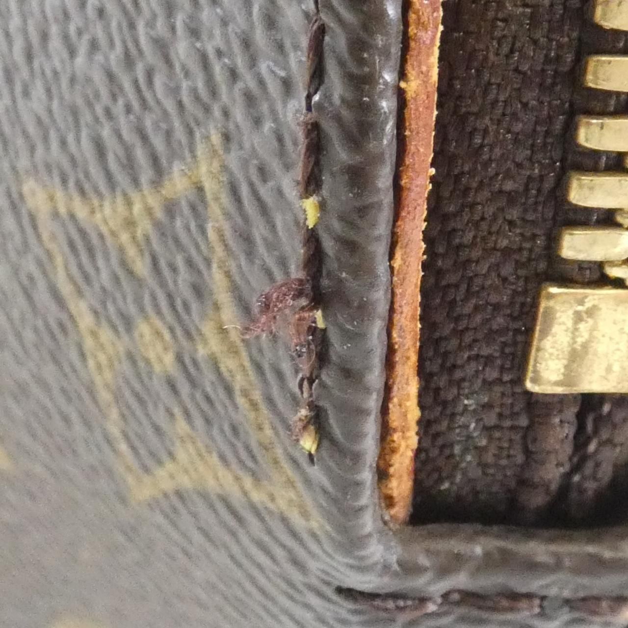 Louis Vuitton Monogram Ellipse PM Bag — view 5