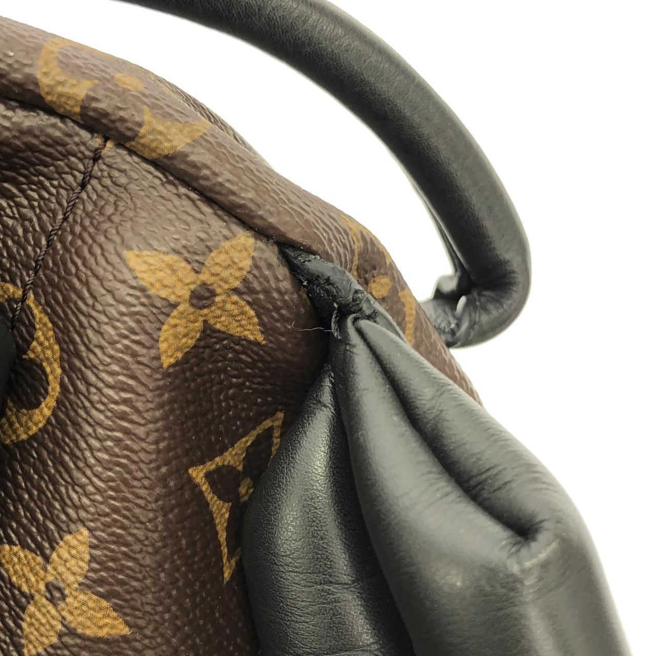 Louis Vuitton Monogram Palm Spring Backpack PM Sac — view 7