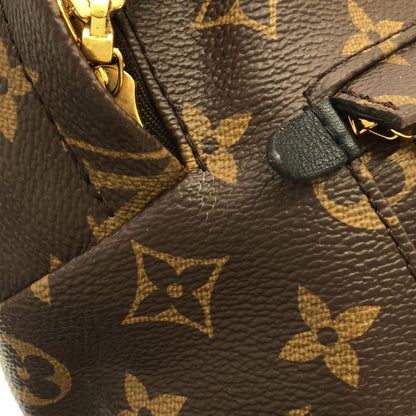 Louis Vuitton Monogram Palm Spring Backpack PM Sac — view 6