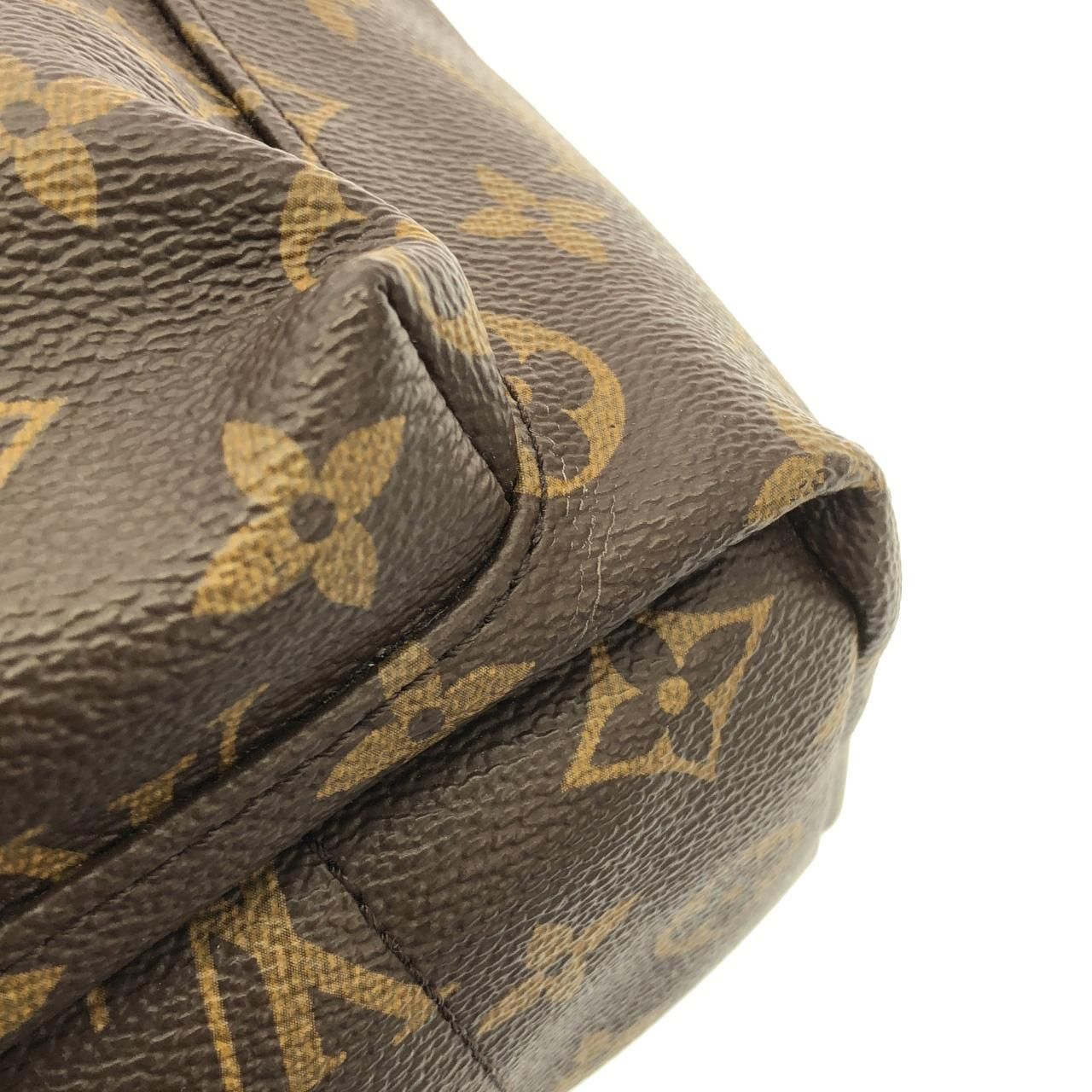 Louis Vuitton Monogram Palm Spring Backpack PM Sac — view 4