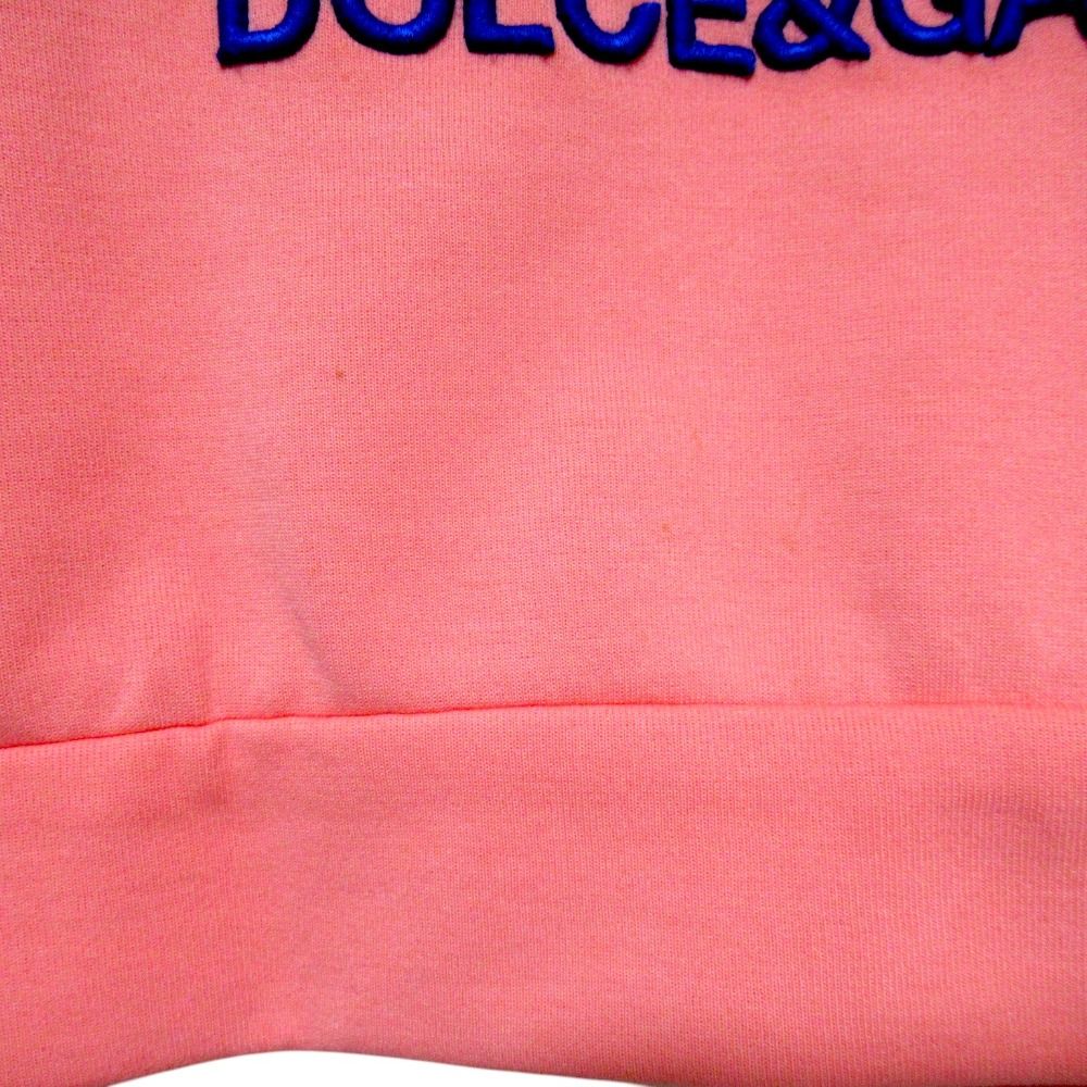 Dolce & Gabbana Logo Detail Print Cropped Jersey Sweatshirt 36 Pink — view 4