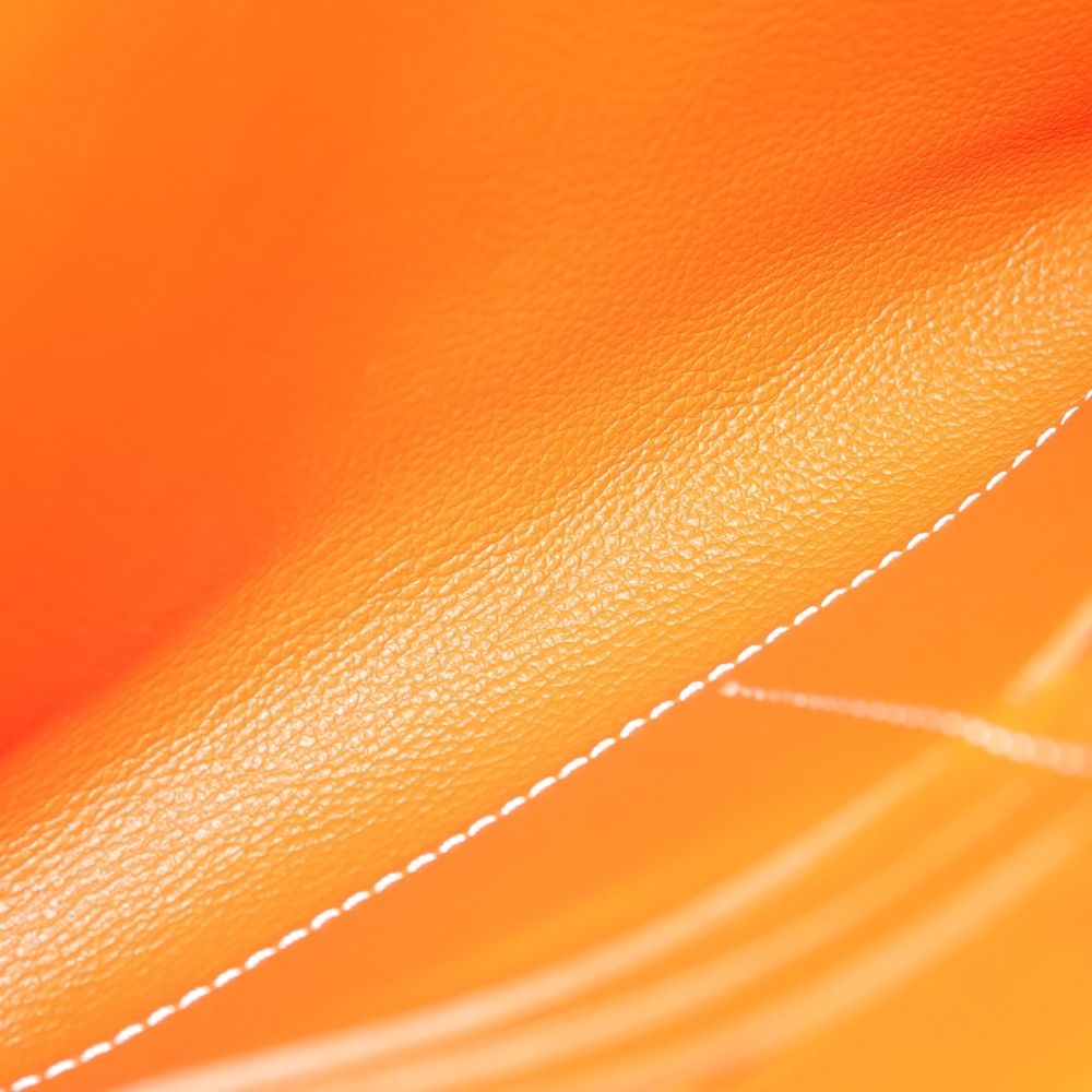 Goyard Seaple Pouch PM Shoulder Bag Leather Orange Silver — view 4