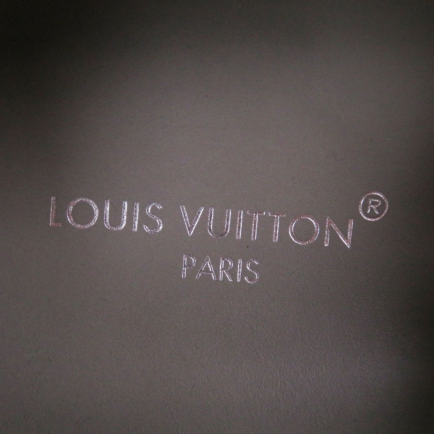 Louis Vuitton LV Pacific Line Suede Leather LV Logo Slip on Low Cut Sneakers — view 7