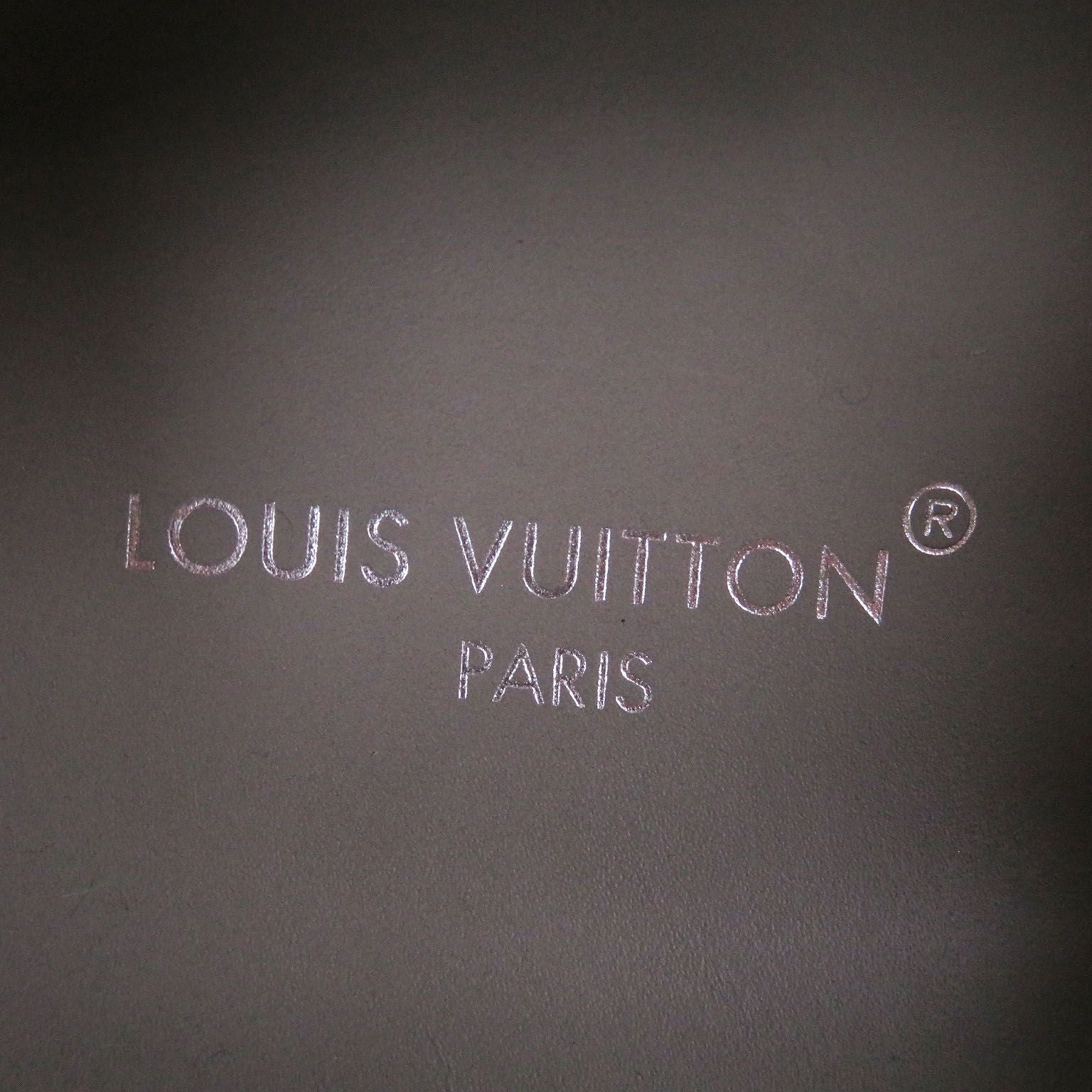 Louis Vuitton LV Pacific Line Suede Leather LV Logo Slip on Low Cut Sneakers — view 7