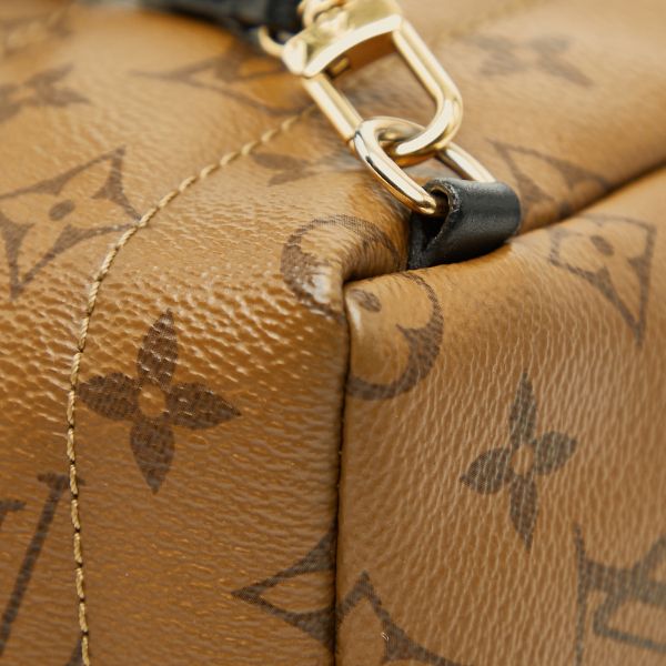 Louis Vuitton Monogram Reverse Palm Springs Mini Backpack Black Brown Leather — view 6