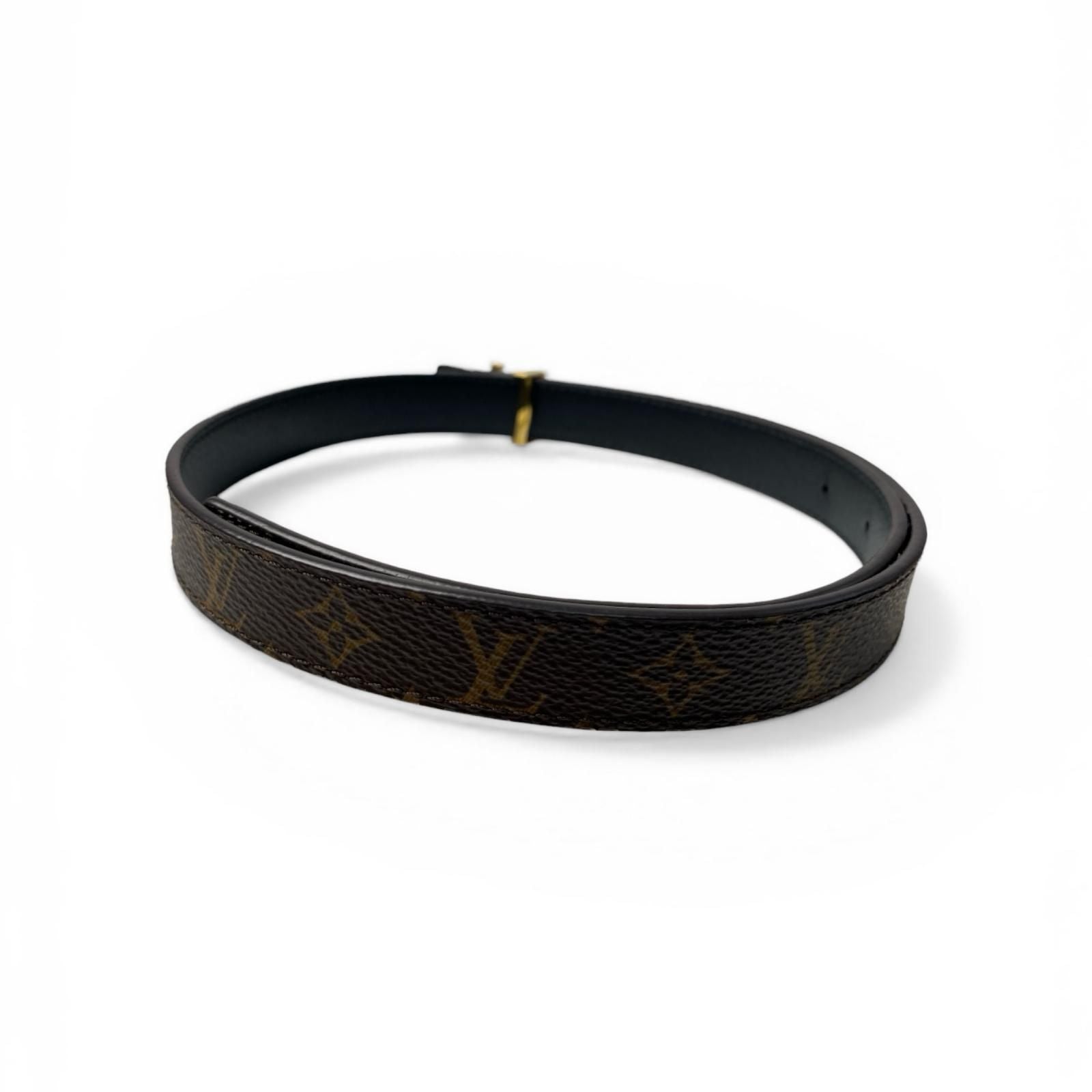 Louis Vuitton Belt LV Iconic 20 mm Reversible — view 8