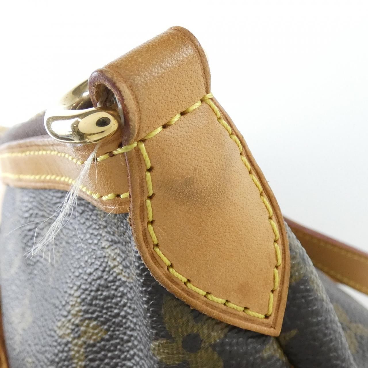 Louis Vuitton Monogram Palermo PM Bag — view 5