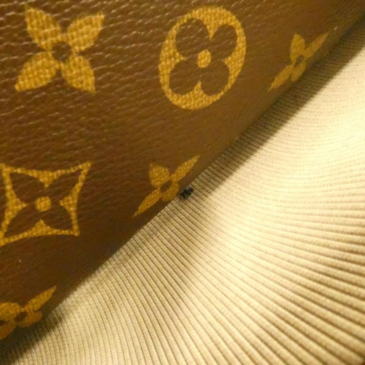 Louis Vuitton Monogram Reporter 28 cm Shoulder Bag — view 6