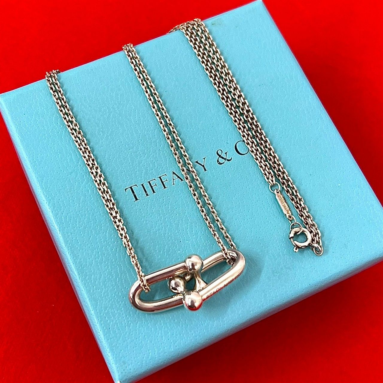 Tiffany & Co Large Double Link 925 Sterling Silver Necklace Pendant