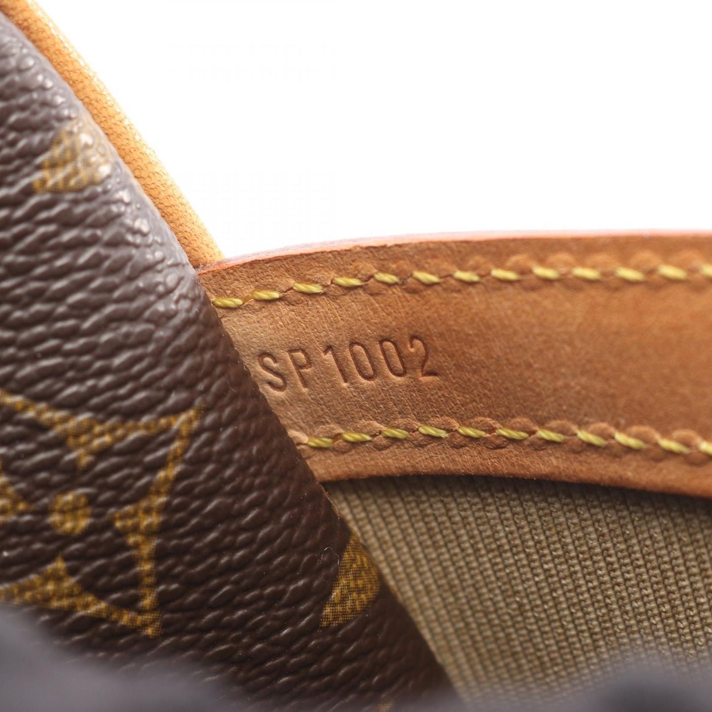 Louis Vuitton Shoulder Bag Reporter PM Canvas Leather — view 5