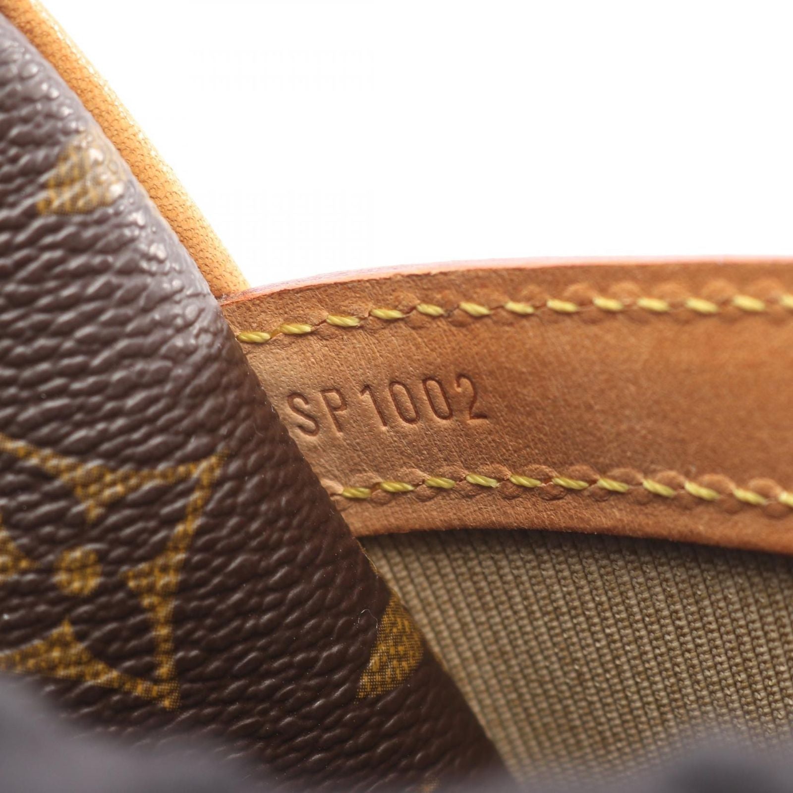 Louis Vuitton Shoulder Bag Reporter PM Canvas Leather — view 5