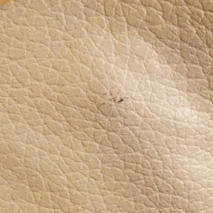Louis Vuitton Monogram Sac Plat Bag — view 9