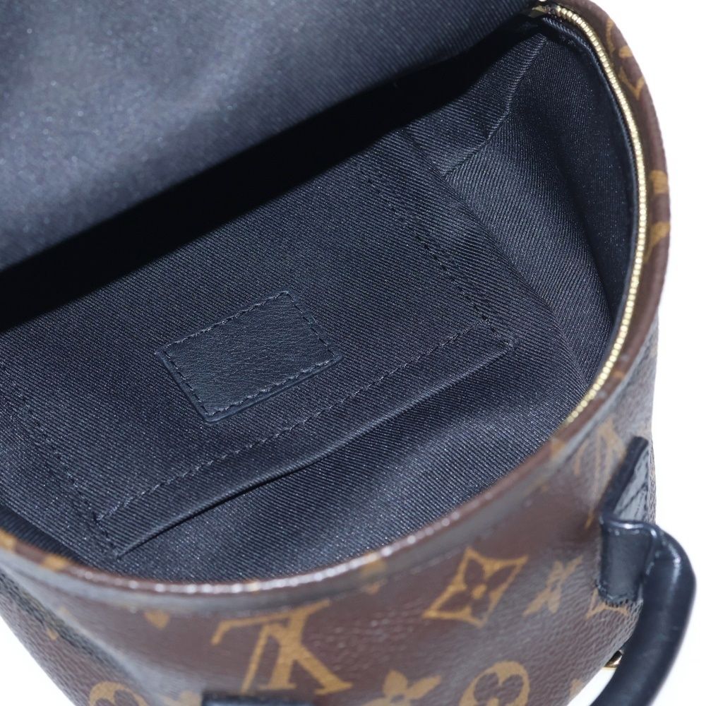 Louis Vuitton Palm Springs Mini Leather Backpack Gold Brown — view 4