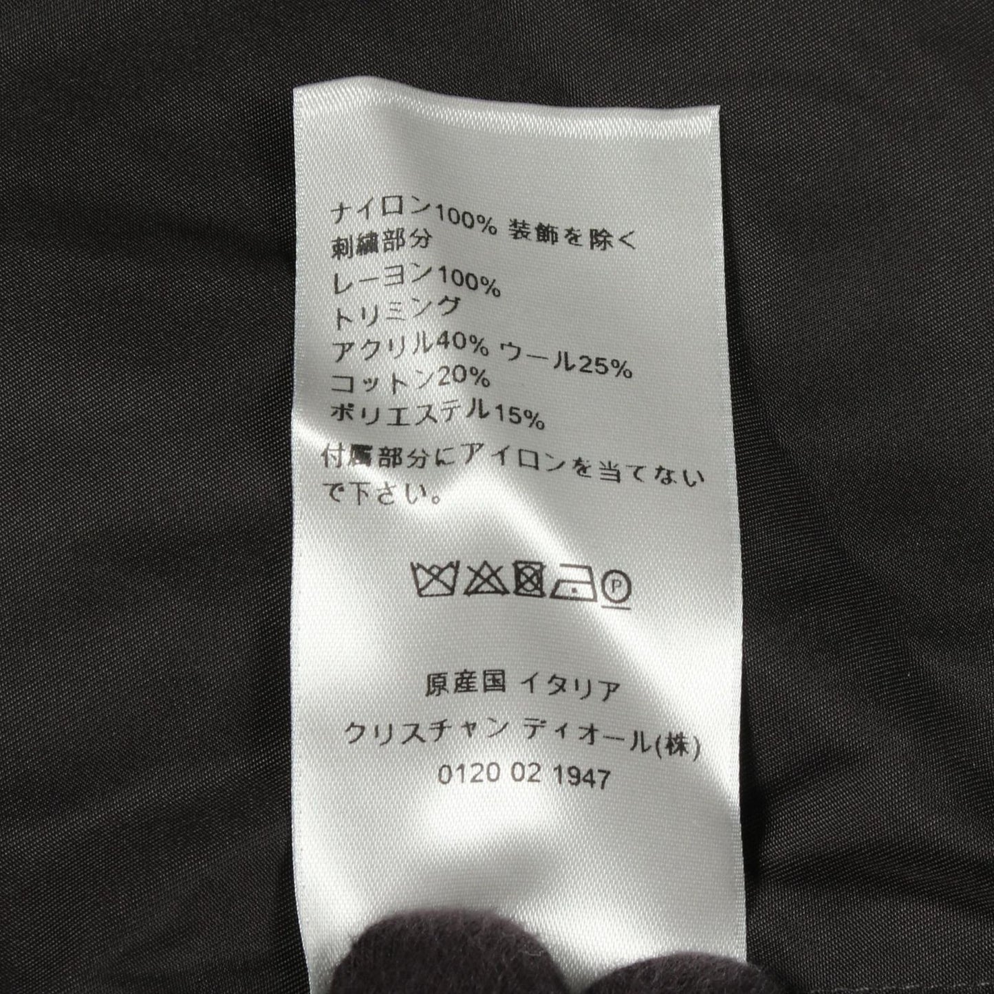 Dior Jacket Peter Doig Lion Embroidery Zip Up Nylon — view 4