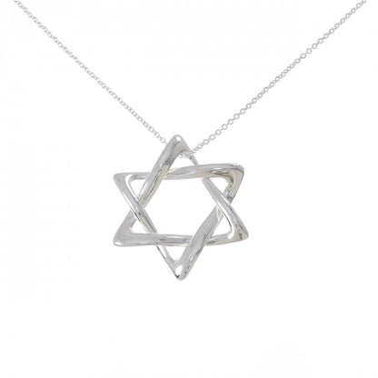 Tiffany & Co Davide Necklace