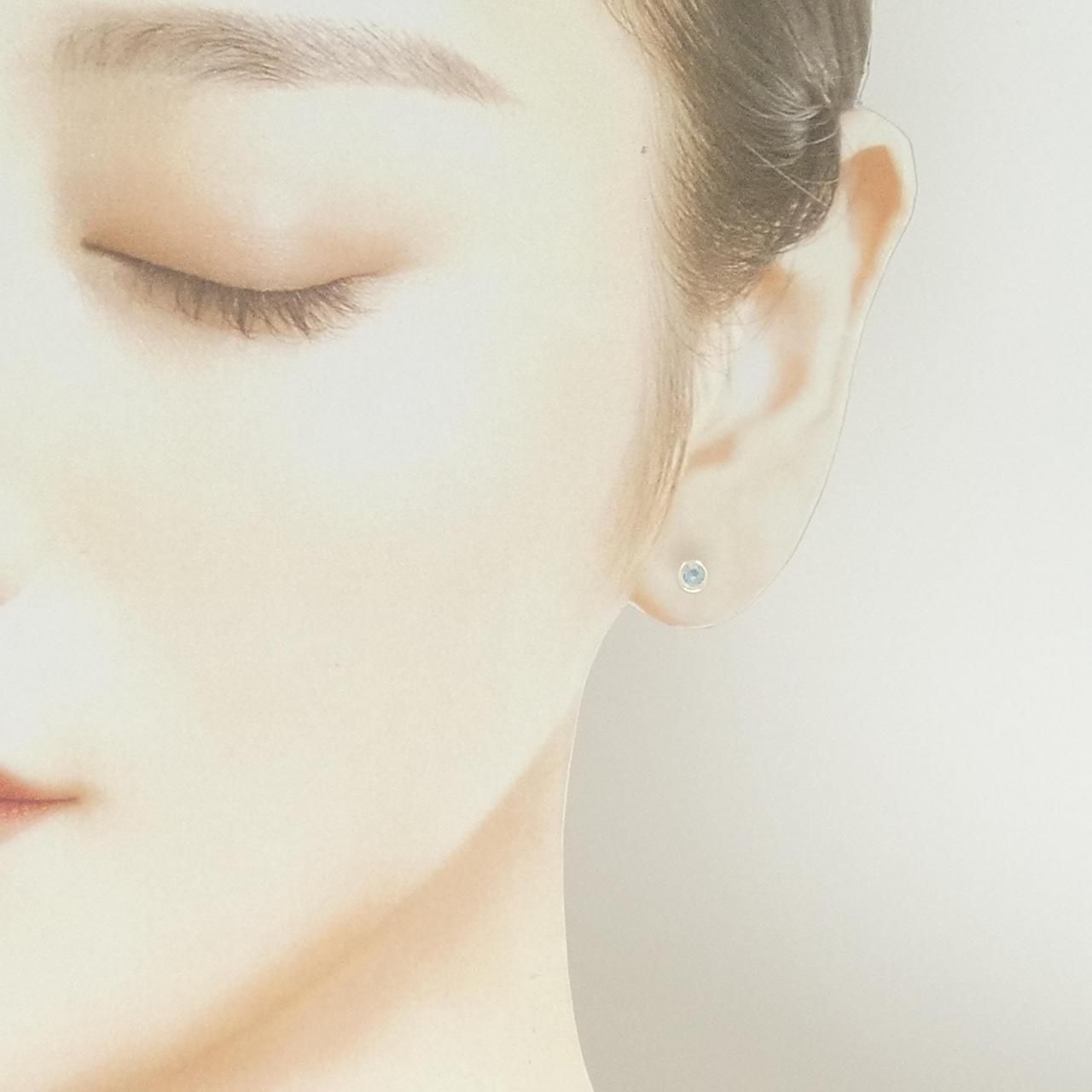 Tiffany & Co by the Yard Earrings — view 4