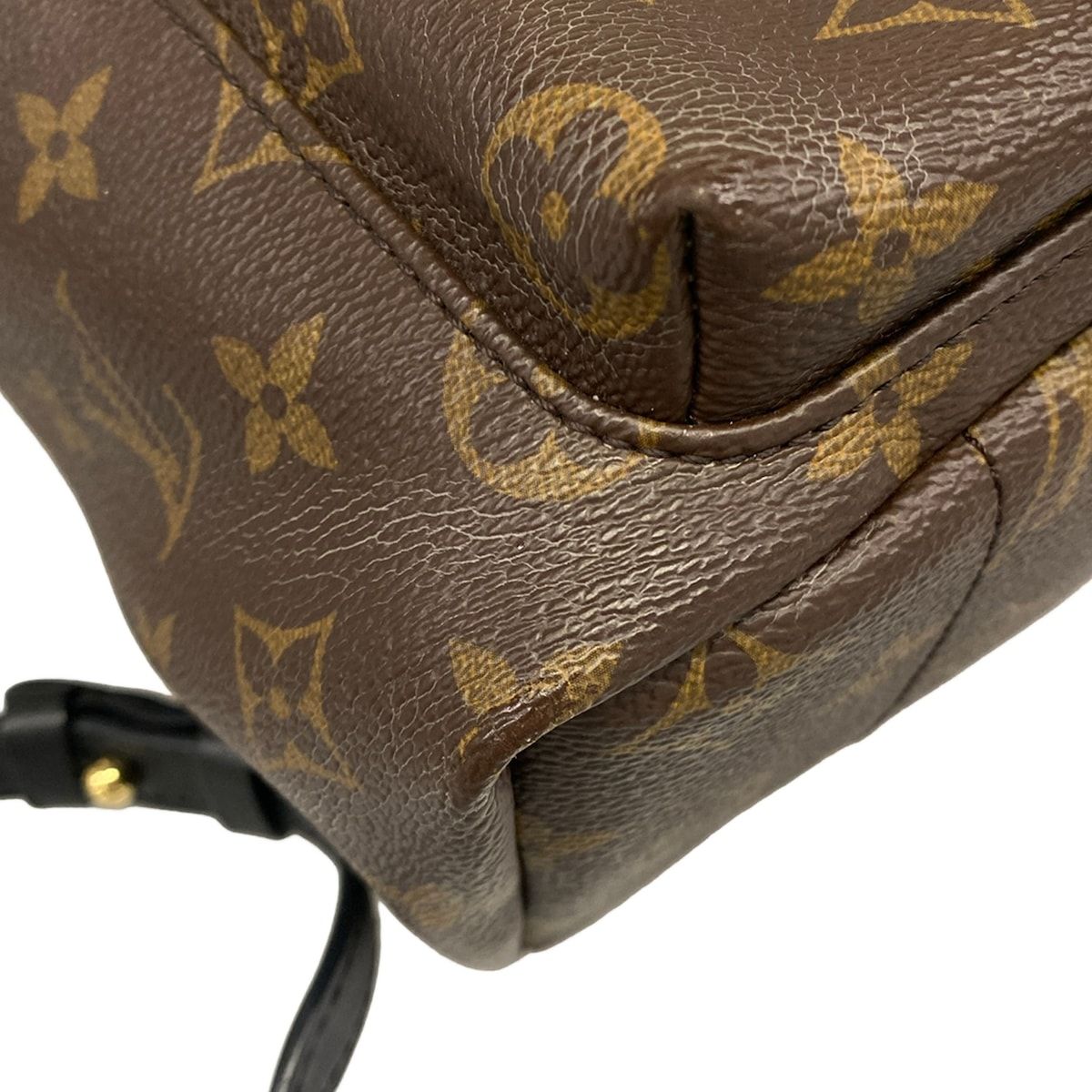 Louis Vuitton Sac Monogram Palm Springs Backpack PM — view 6