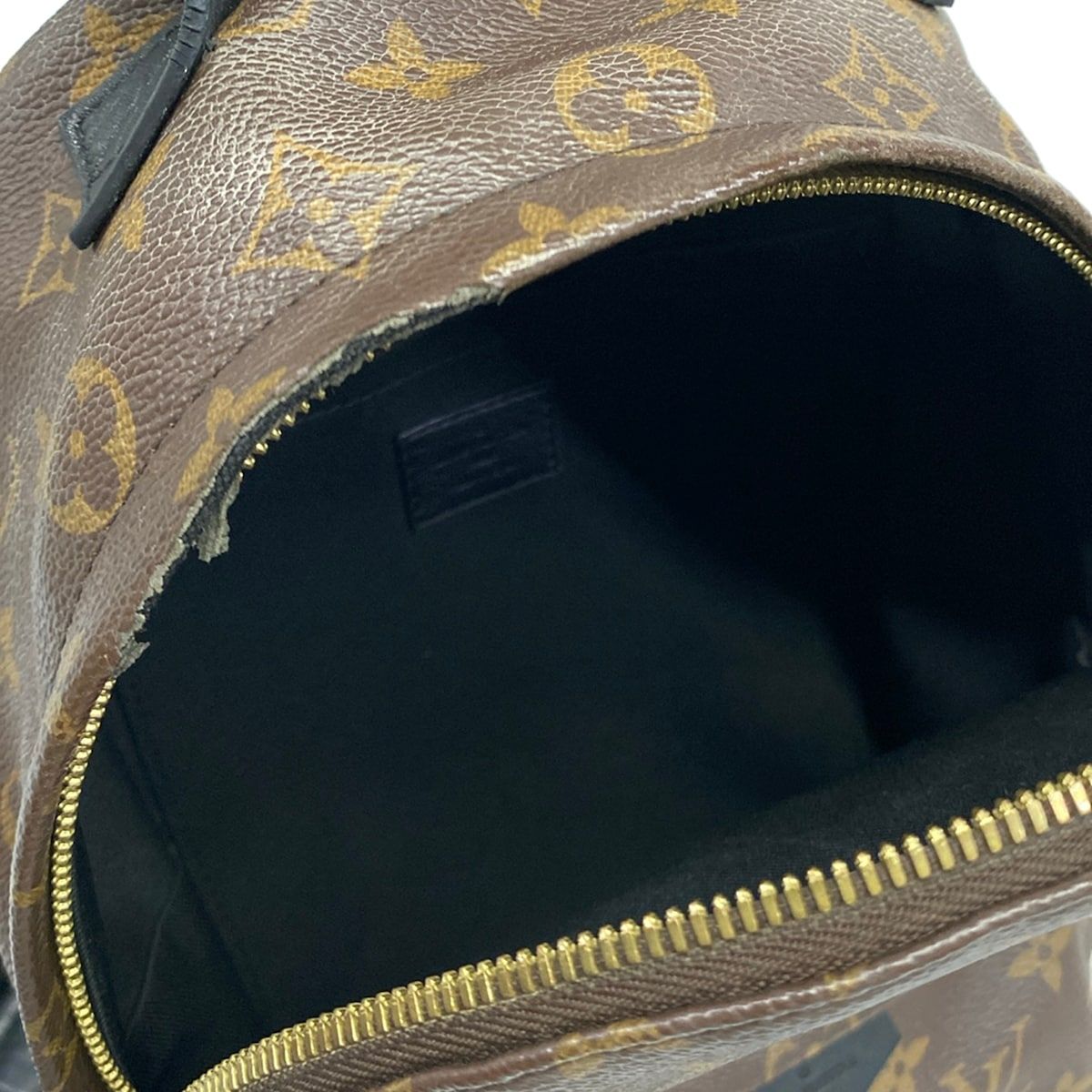 Louis Vuitton Sac Monogram Palm Springs Backpack PM — view 7