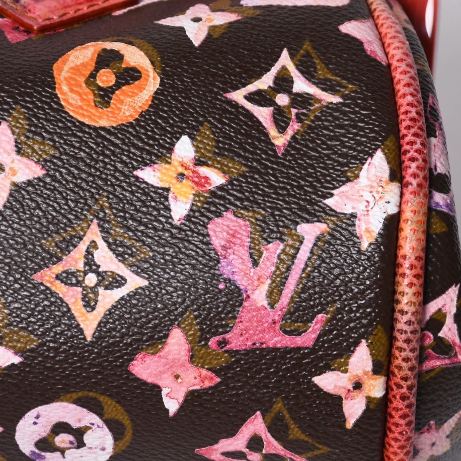 Louis Vuitton Monogram Water Color Richard Prince Papillon Handbag Brown — view 6