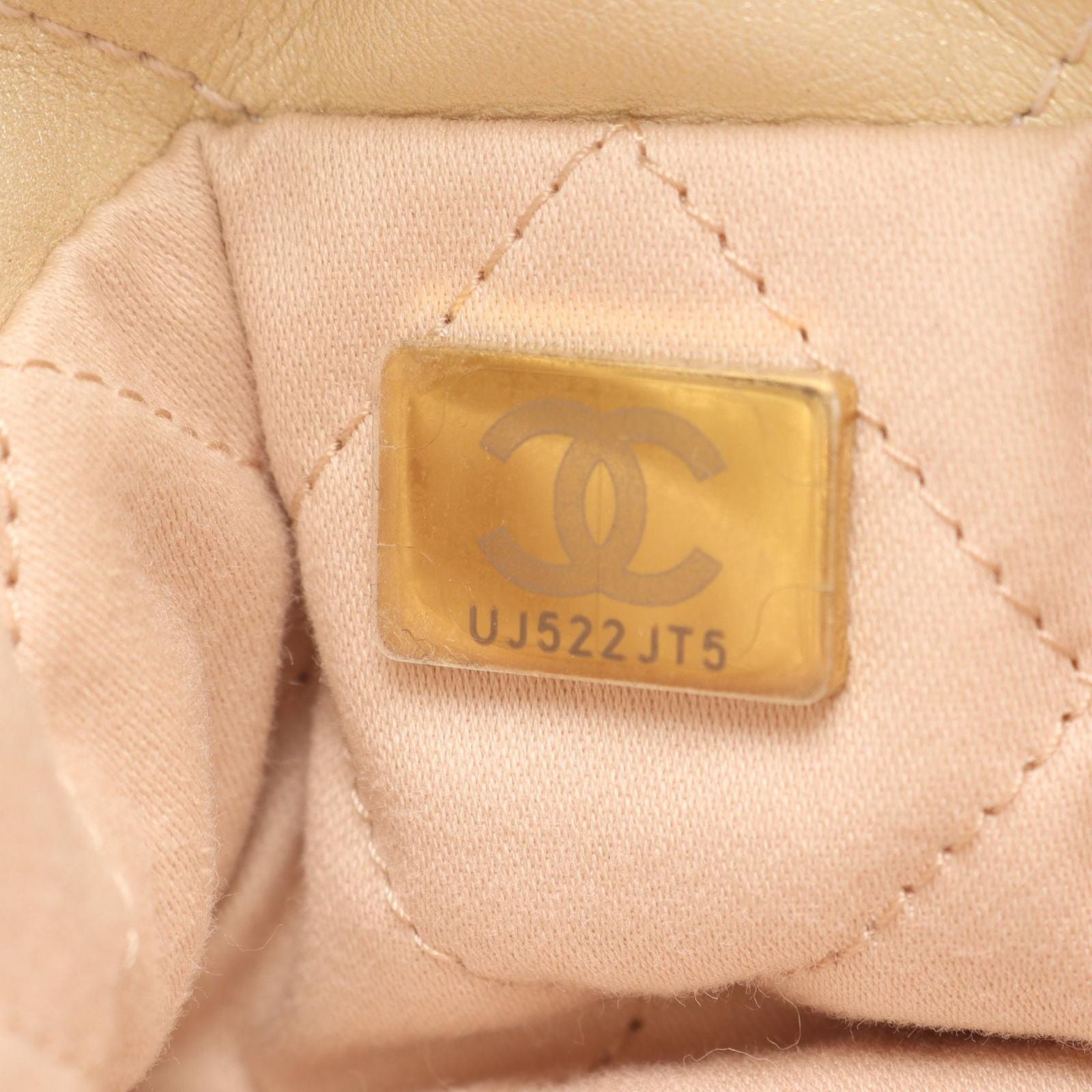 Chanel Shoulder Bag 22 Mini Champagne Gold Leather 22 Quilted Chain — view 5
