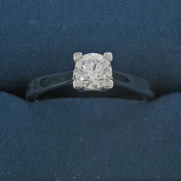Harry Winston HW Da Earrings