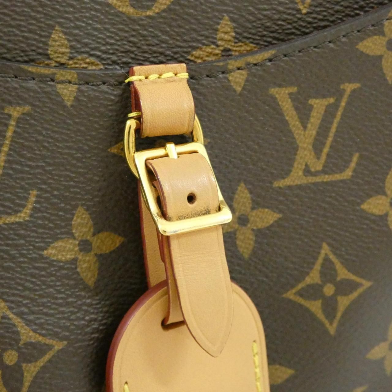 Louis Vuitton Monogram Odeon MM Shoulder Bag — view 4