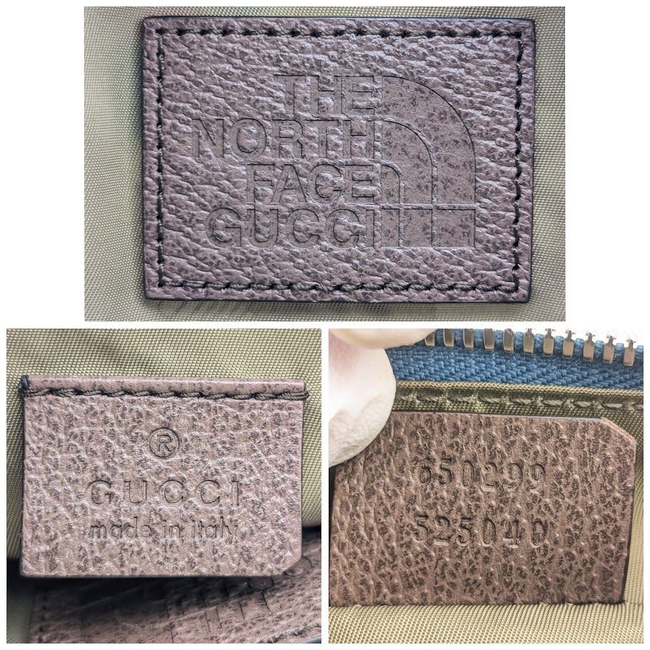 Gucci North Face Collaboration Nylon Logo Multicolor Belt Bag Waist Pouch — view 9