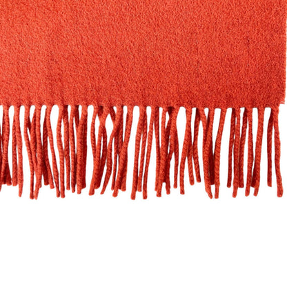 Hermes Cashmere Logo Embroidered Scarf with Fringe Shawl Brown — view 3